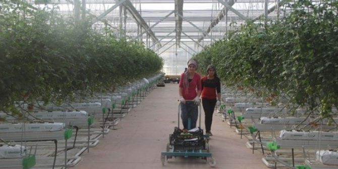 Eksi 46 Derecede Bir İlk