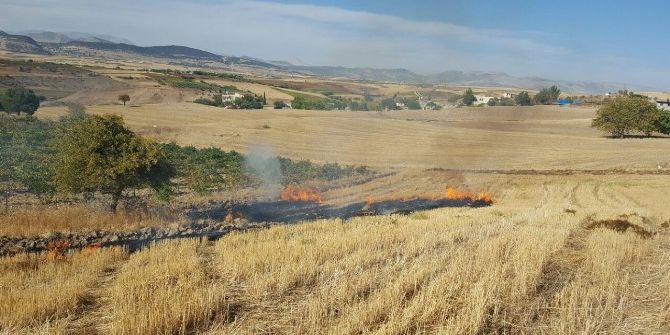 Anız Yakan Tarla Sahibine Ceza