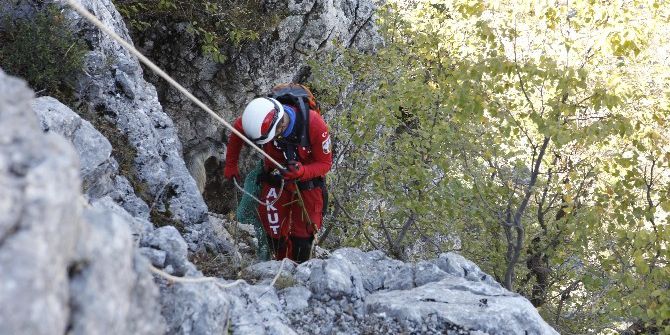 Kurtlardan Kaçan Keçiler Uçurumda Mahsur Kaldı