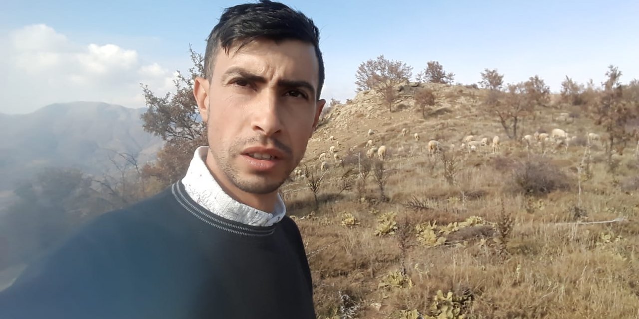 Kurtlar Koyunları Telef Etti