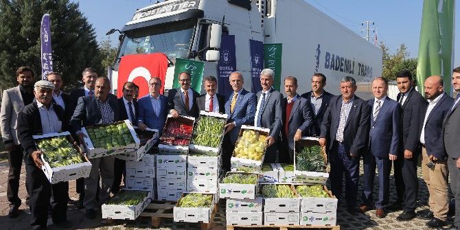 Yenişehir Biberi Hollanda Yolunda