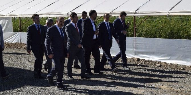 Vali Taşyapan’dan Güneş Enerjili Seralarda İnceleme