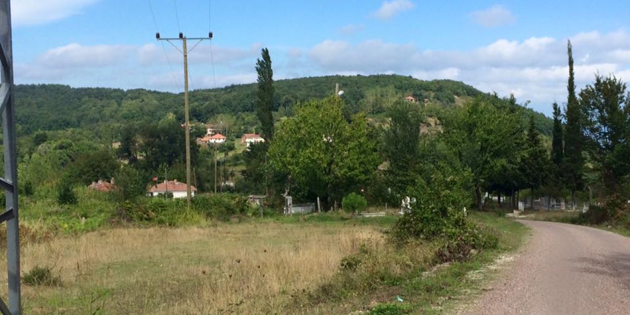 Ayancık Abdulkadirköy Köyü