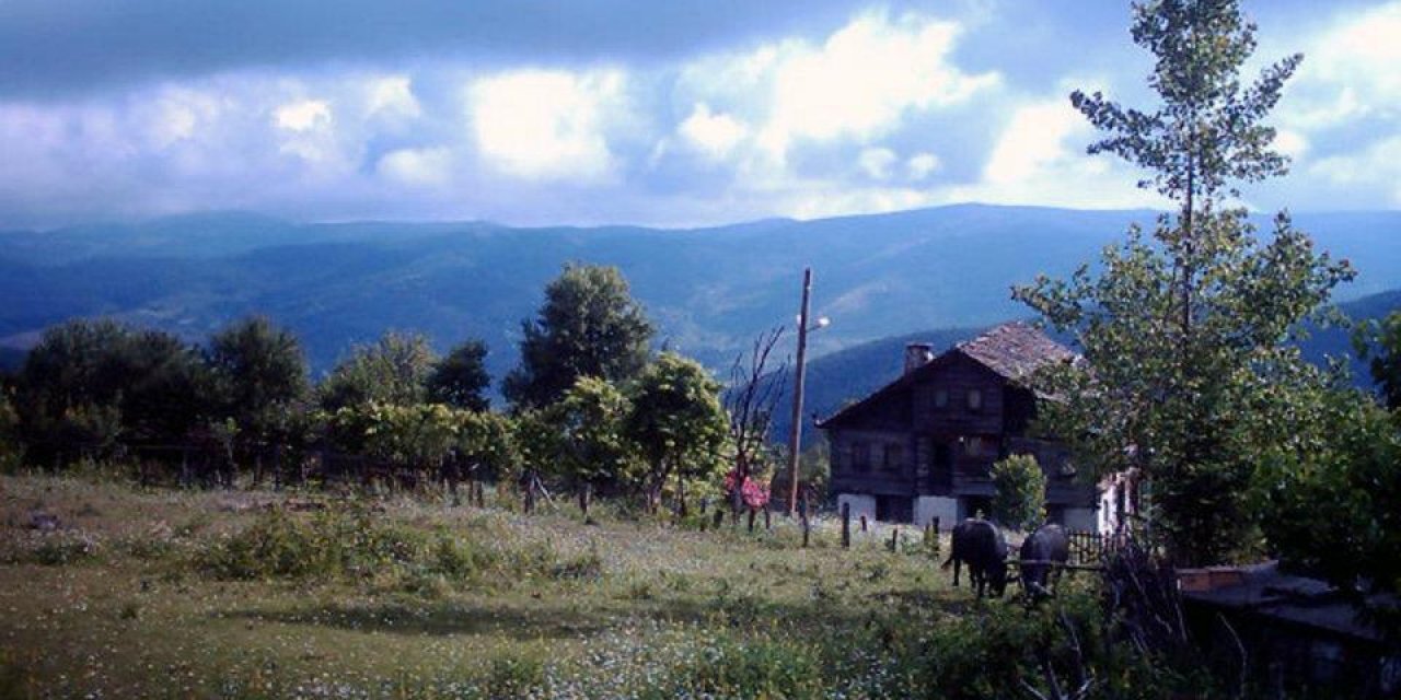 Ayancık Armutluyazı Köyü