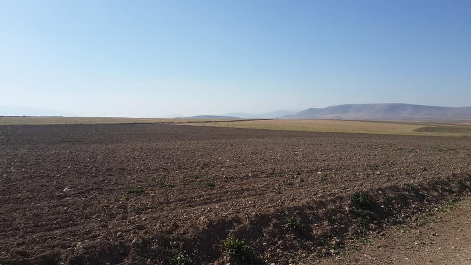 Sarayönü Başhüyük Köyü