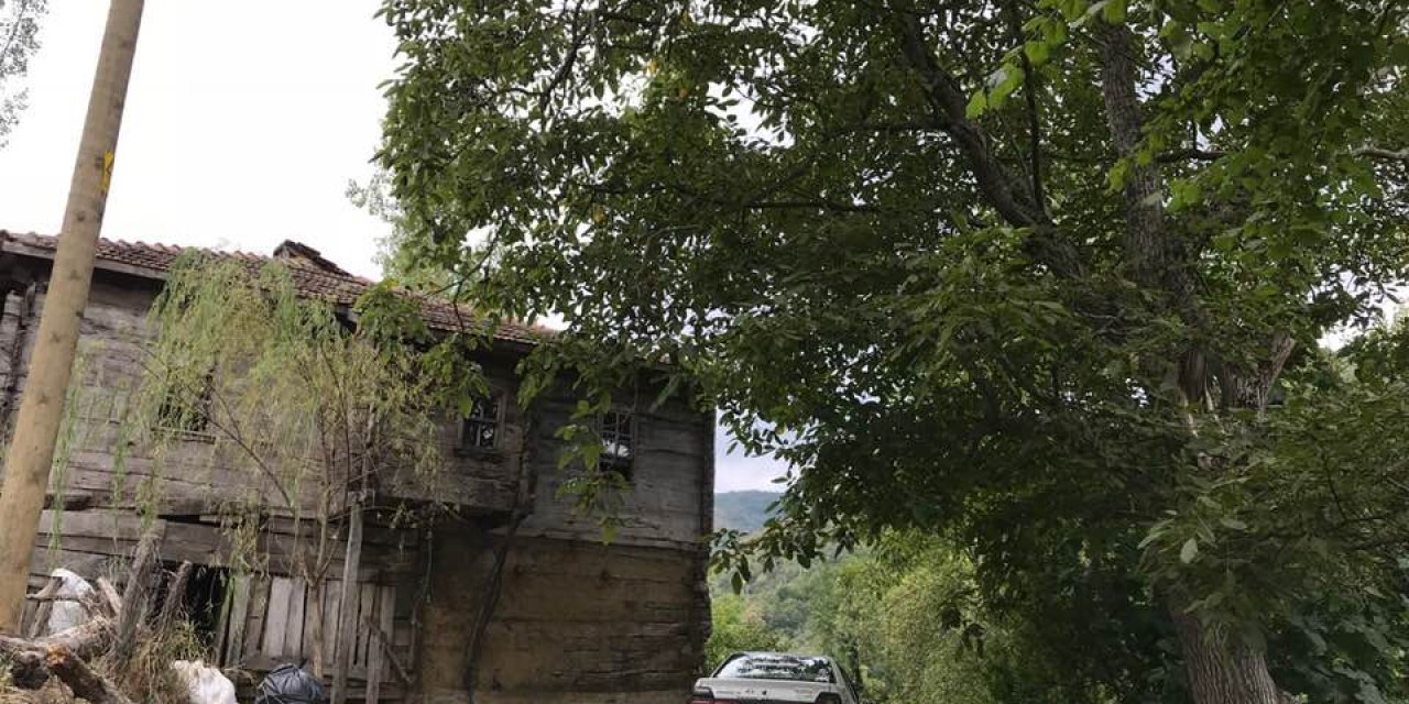 Ayancık Belpınar Köyü