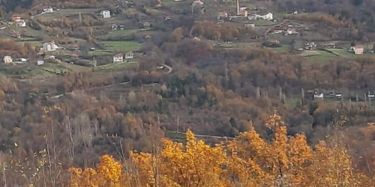 Ayancık Dedeağaç Köyü