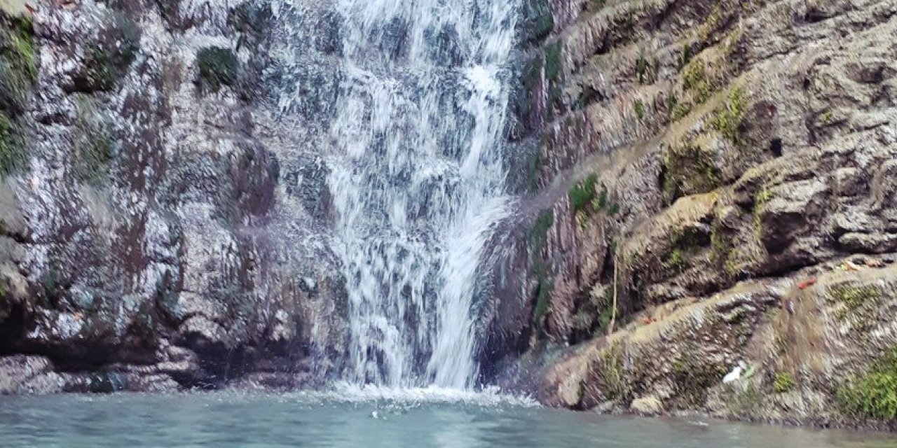 Ayancık Dibekli Köyü