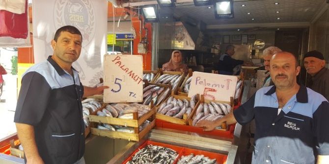 Palamudun Tanesi 5 Liraya Düştü