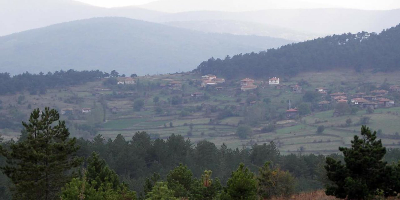 Sinop Doğrul Köyü