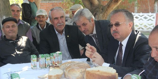 Vali Özdemir: “Ekmek Bulamıyorsanız, Pasta Yiyin”