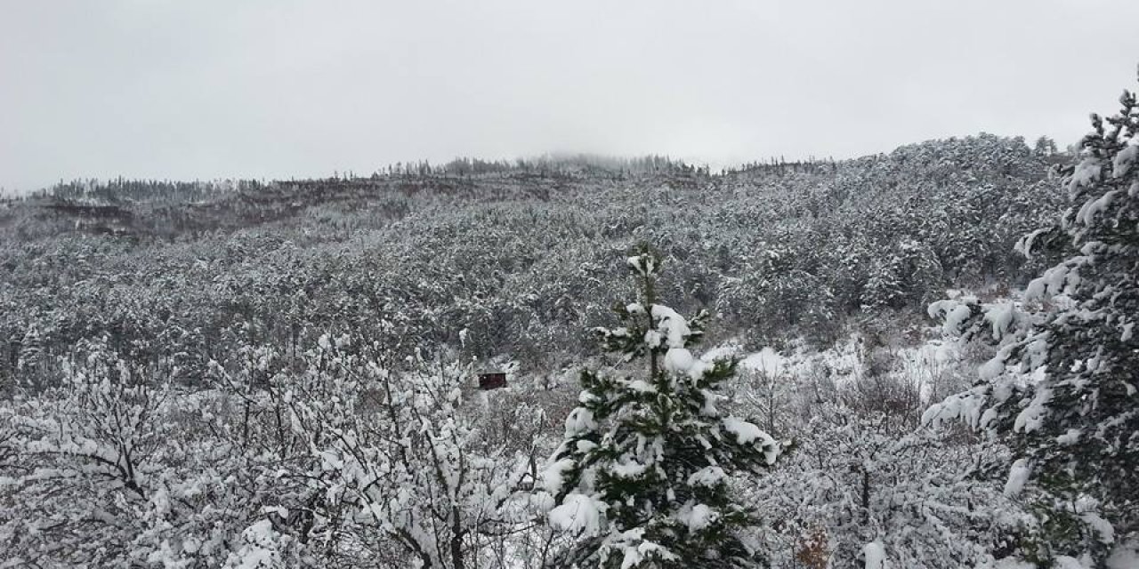 Boyabat Gökçukur Köyü