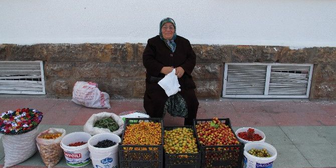 Dağdan Topladığı Armut, Erik Ve Kuşburnunu Satarak Geçimini Sağlıyor
