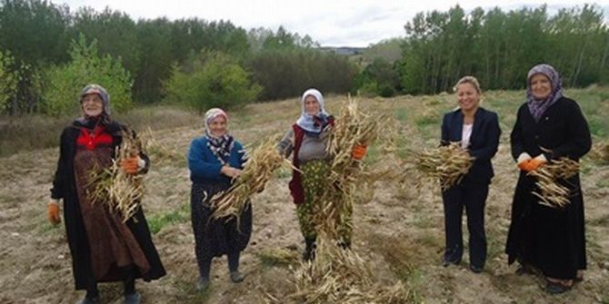 Kırklareli’nde Uluslararası Bakliyat Yılı Etkinliği