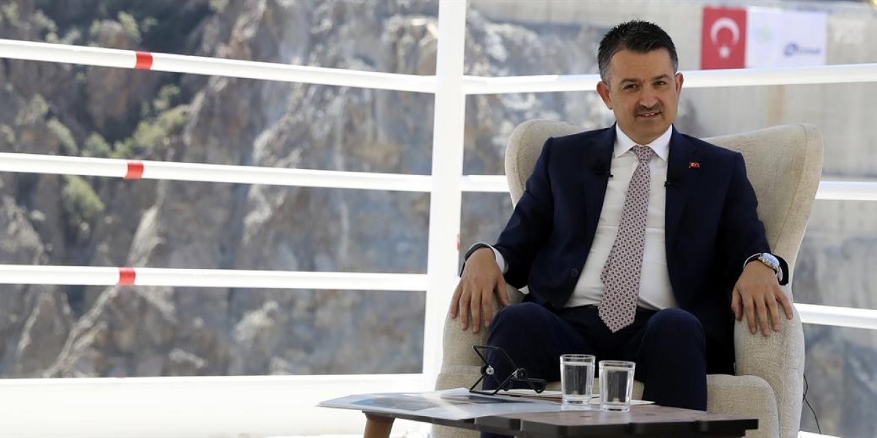 Kaz Ve Hindi Çiftliği Kurana Yüzde 75 Hibe Verilecek