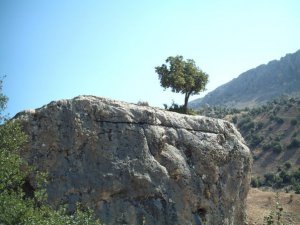 Adıyaman Ağaçkonak Köyü