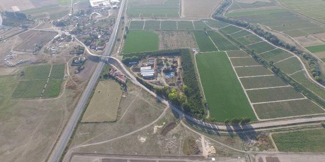 Odunpazarı Belediyesi Fidan Üretecek