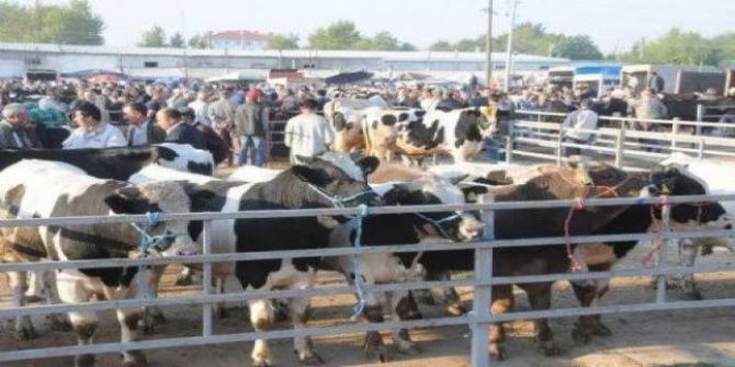 Trakya’nın En Büyük Hayvan Pazarına 1 Haftalık Tedbir
