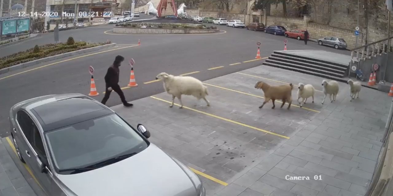 Nevşehir Belediyesi En İlginç Kuşatmasını Yaşadı