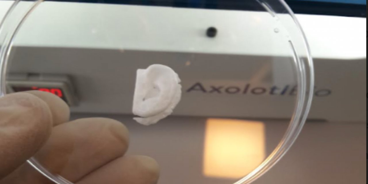 Türk Bilim İnsanları Yapay Doku Üretecek