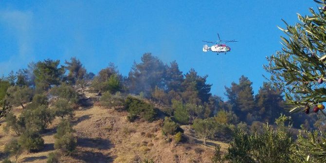 Ayvalık’ta Orman Yangını