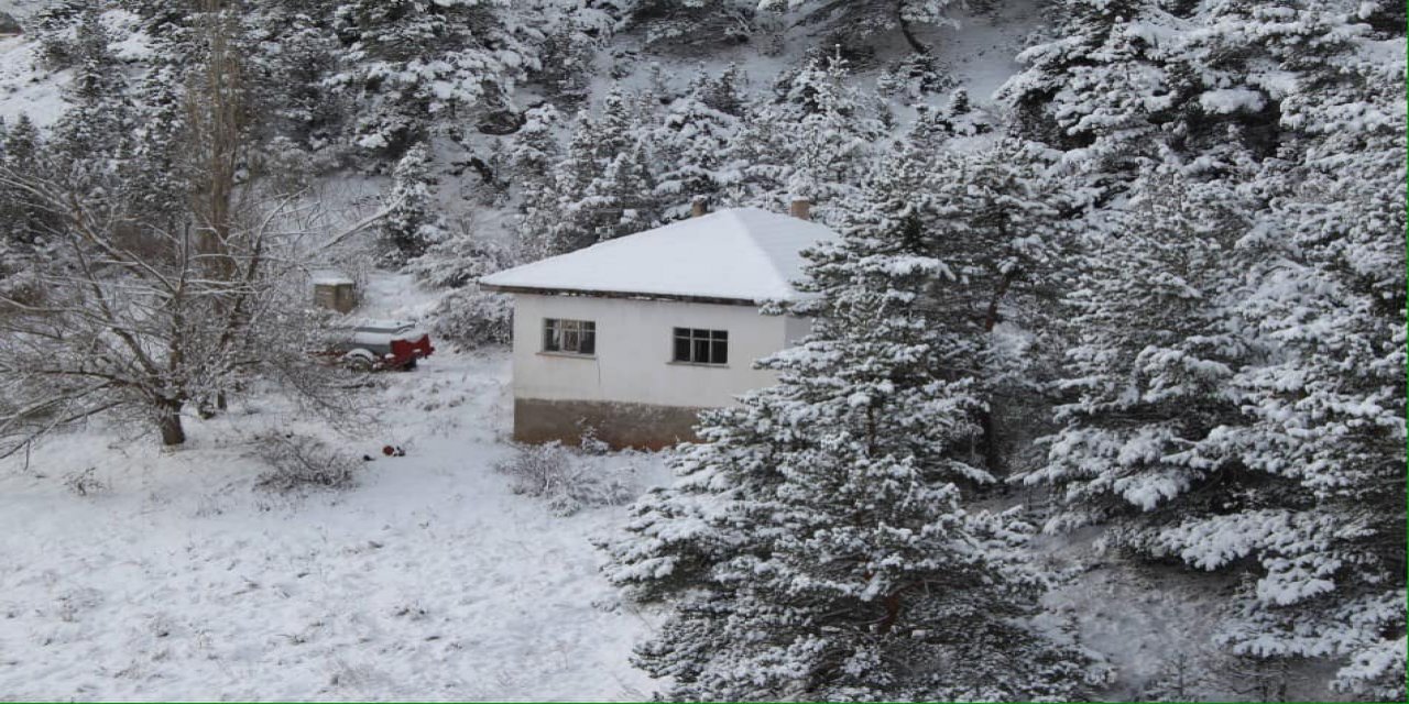 Akdağmadeni Ardıçalanı Köyü