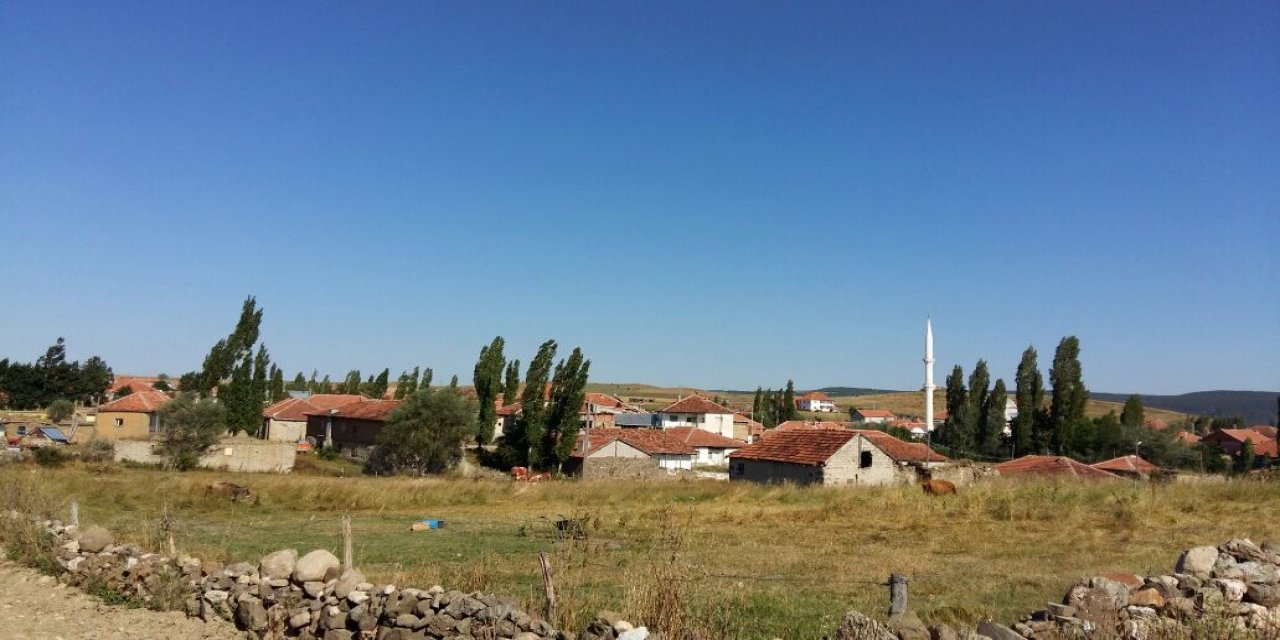 Akdağmadeni Arslanlı Köyü