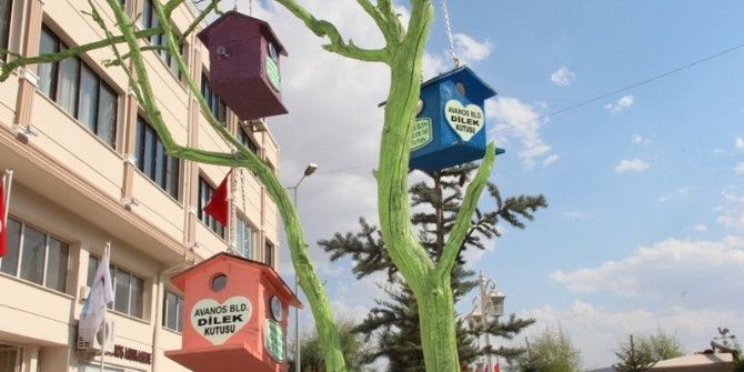 Avanos’ta ’Bir Dilek De Sen Tut’ Ağaçları Yerleştirildi