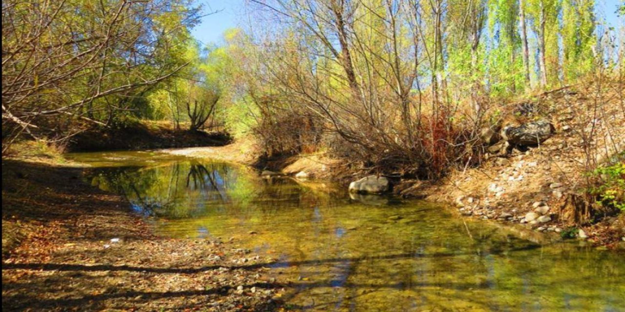 Akdağmadeni Boyalık Köyü