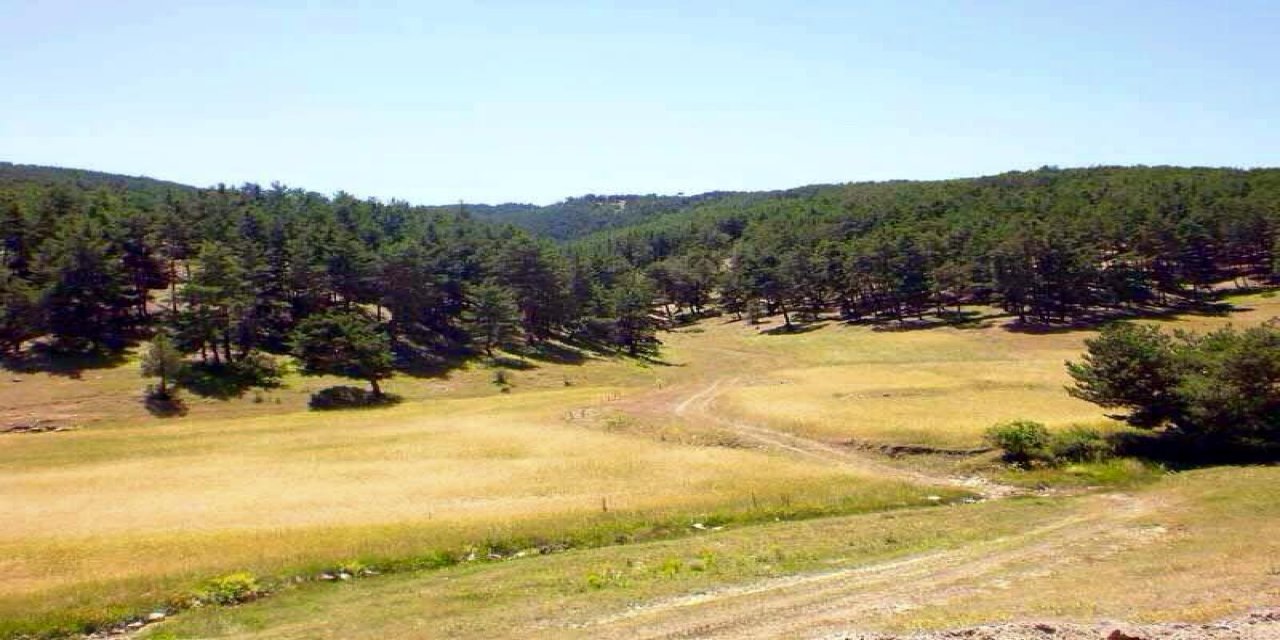 Akdağmadeni Davulbaz Köyü