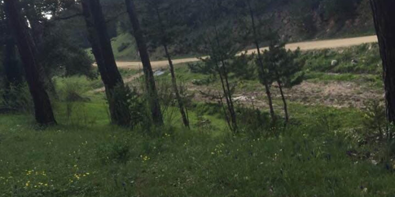 Akdağmadeni Demirşeyh Köyü