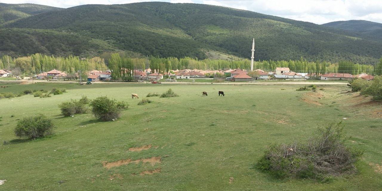 Akdağmadeni Eynelli Köyü