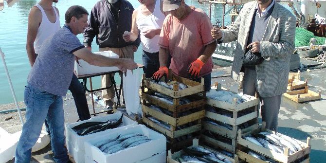 Karadeniz’de Palamut Bereketi