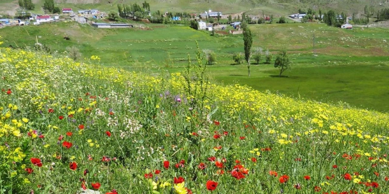 Tuzluca Bahçecik Köyü