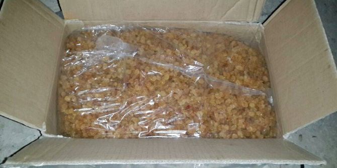 Başkale’de 10 Ton Kaçak Kuru Üzüm İle Tabanca Yakalandı