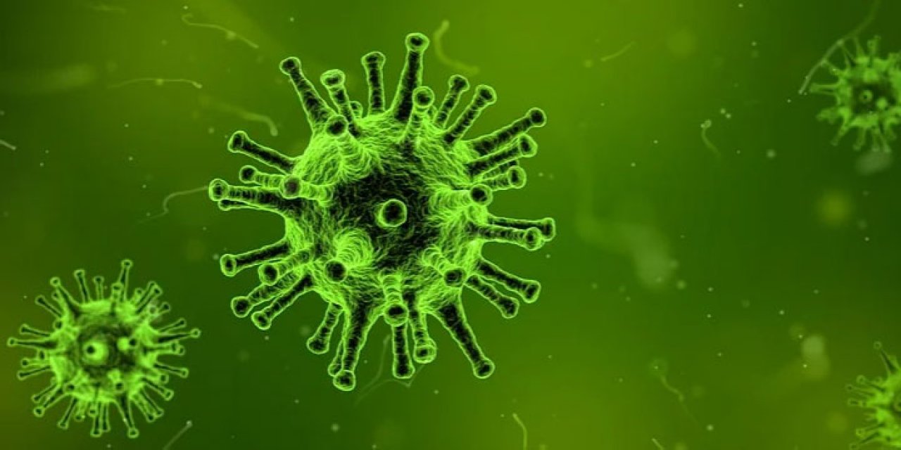Pfizer’dan Rahatlatan Aşı Açıklaması