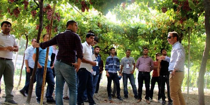 Genç Çiftçiler, ’Meyvecilik Kampı’nda Uygulamalı Eğitim Aldı