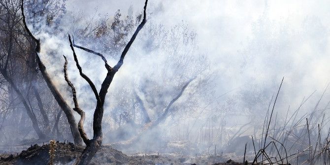 Torpilden Çıktığı İddia Edilen Yangında 30 Dönüm Ormanlık Alan Kül Oldu