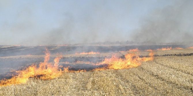 300 Dönüm Anız Alev Alev Yandı
