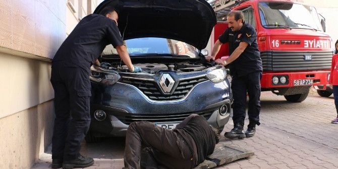 Soğuktan Üşüyen Yavru Kedi, Sığınak Olarak Araba Motorlarını Seçti
