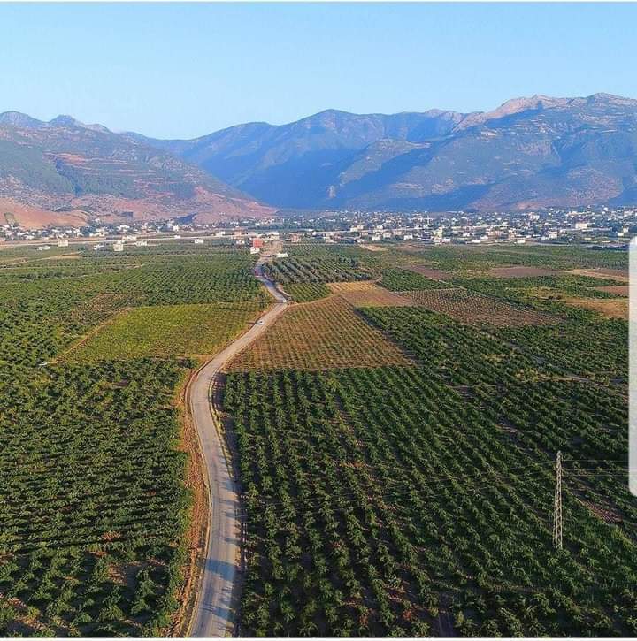 İslahiye Boğaziçi Köyü