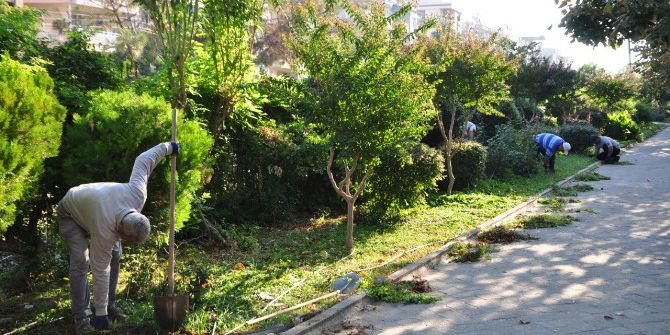 Salihli’de Parklara Kış Bakımı Başladı