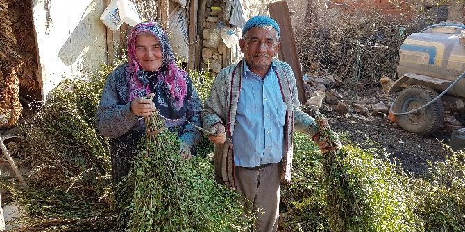Teknolojiye Yenilmeyen Süpürge