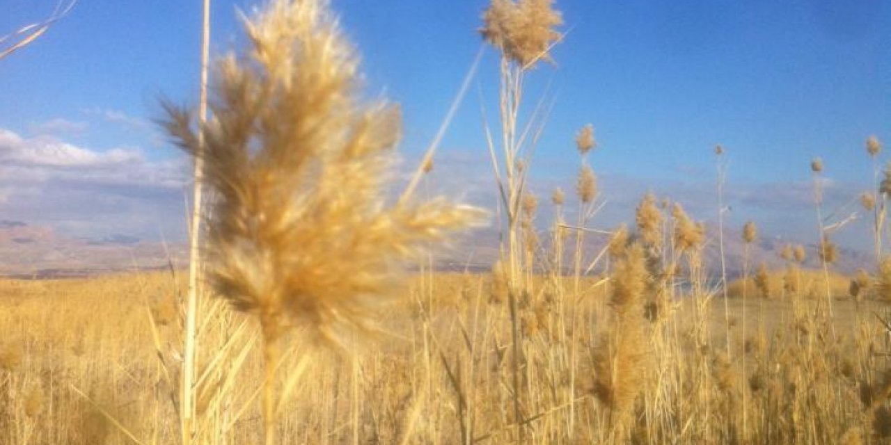 Battalgazi Adagören Köyü