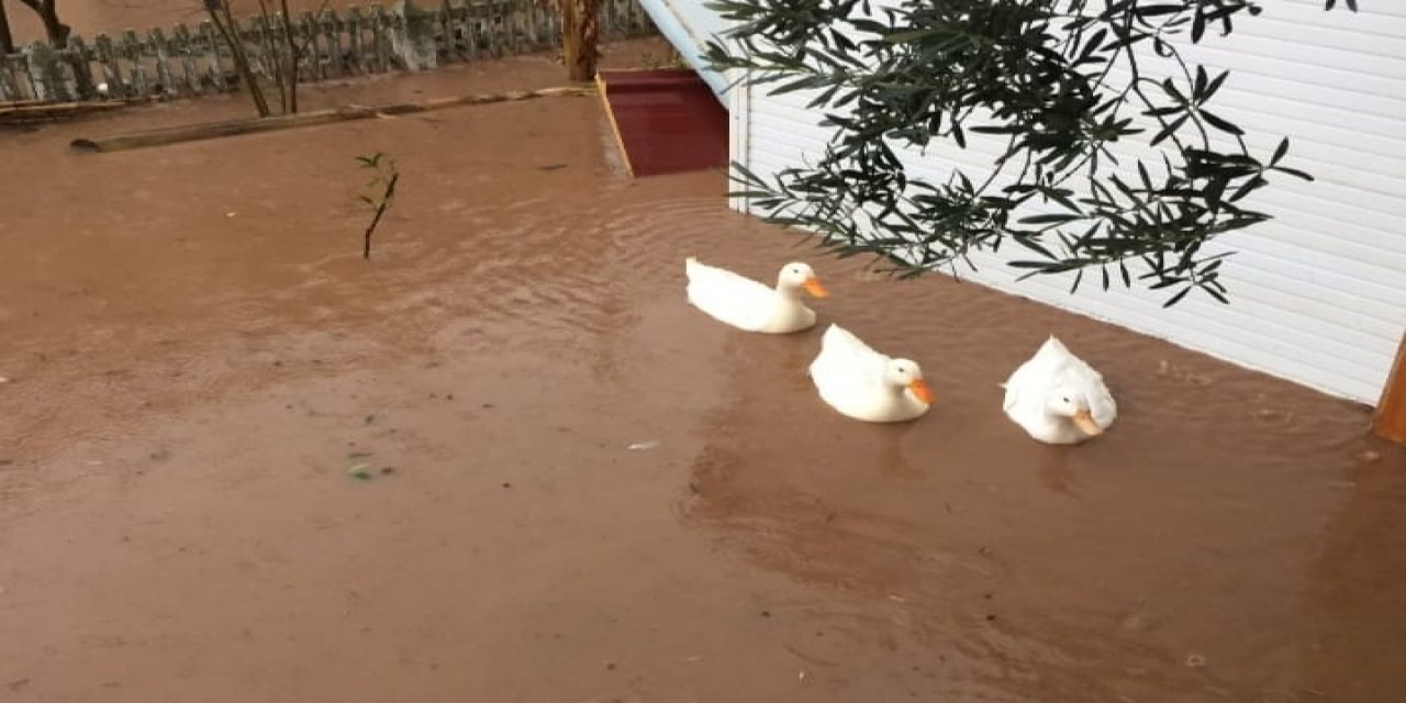 İzmir Sele Teslim Oldu !