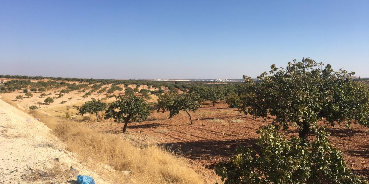 Nizip Bahçeli Köyü