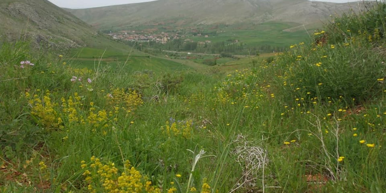 Develi Ayşepınar Köyü