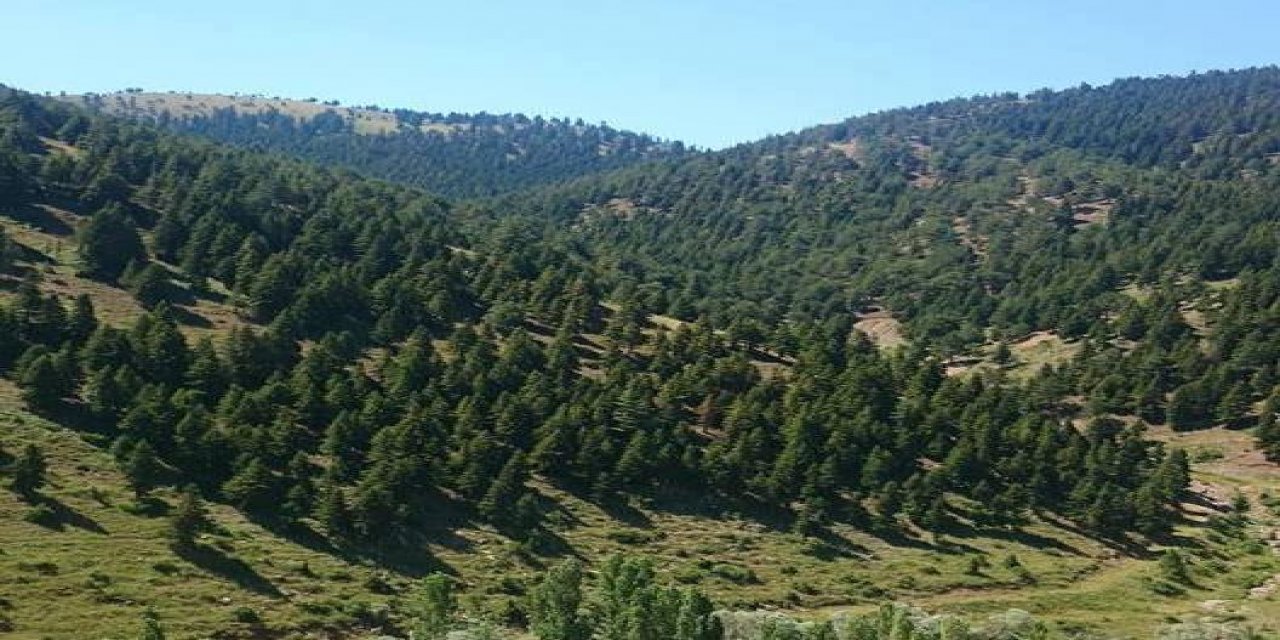 Develi Feneseyukarı Köyü