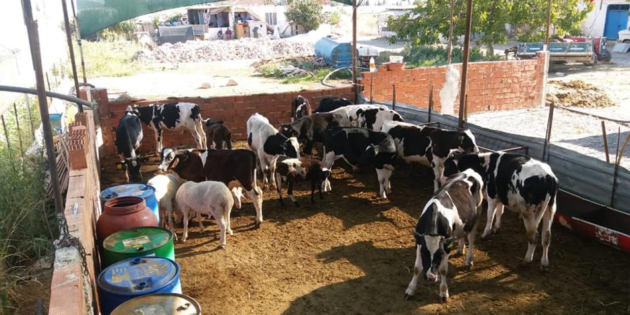 Develi Güneyyukarı Köyü