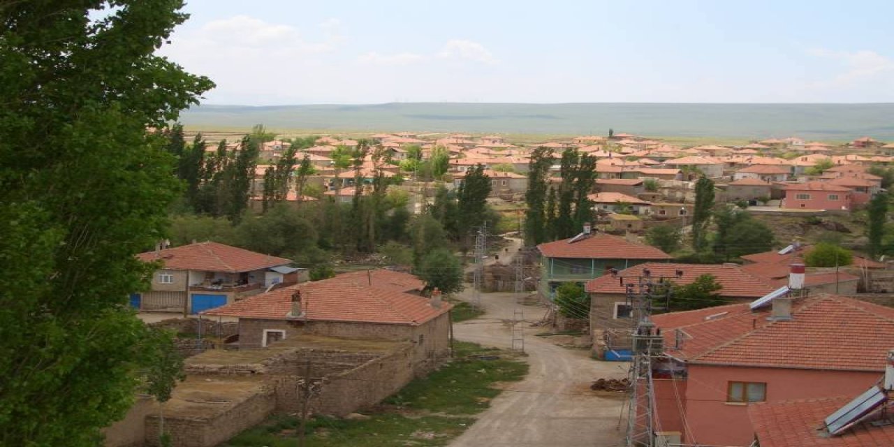 develi havadan koyu